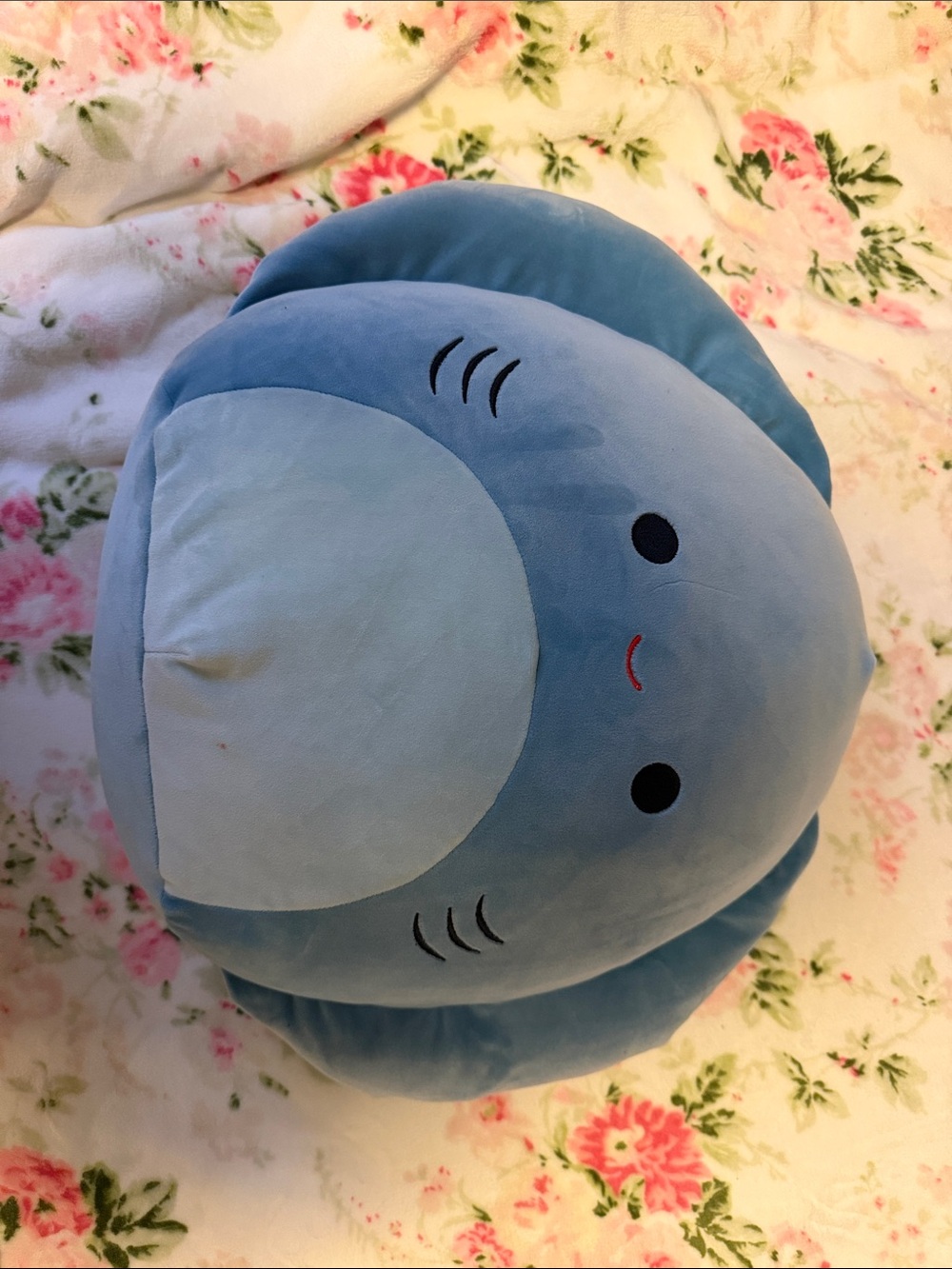 Blue Shark Squishmallow.